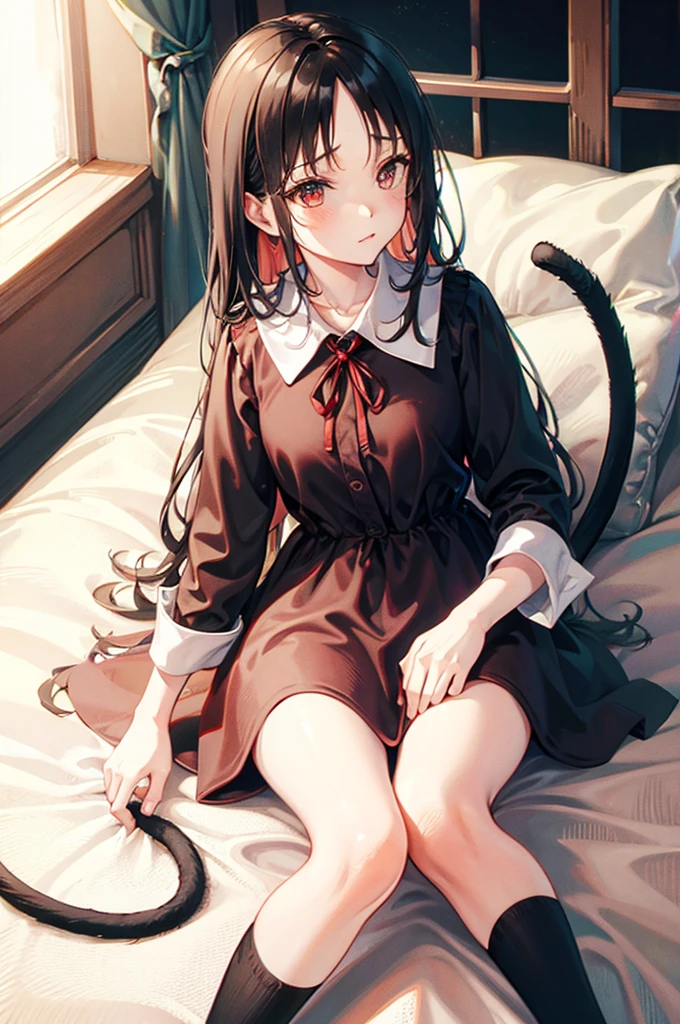 エロいcat&#39;sコスプレ、cat cosplay、Small breasts、、On all fours、Cute underwear、Embarrassed、Black Hair、Red ribbon、Small breasts、Red eyes、White bra、White panties、Lie down on the bed、Blushing、cat&#39;s
