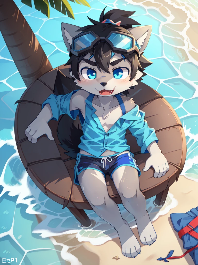 Furry shota, wolf, black hair, long spiky ponytail, blue eyes, detailed body fur, ((goggles, blue hawaiian shirt, open clothes, one shoulder off, black swim trunks)), looking at another, fangs, clear grey body fur, detailed face, big eyebrows, detailed eyes, detailed body, detailed body fur, detailed hands, glistering body, shiny body, skinny, full body, feets with three toes, 3 toes, solo, beach, score_9,score_8_up,score_7_up, source_cartoon, source_furry, sit on beach chair, :3, glowing blue eyes, from above, motion blur, Birds Eye view,