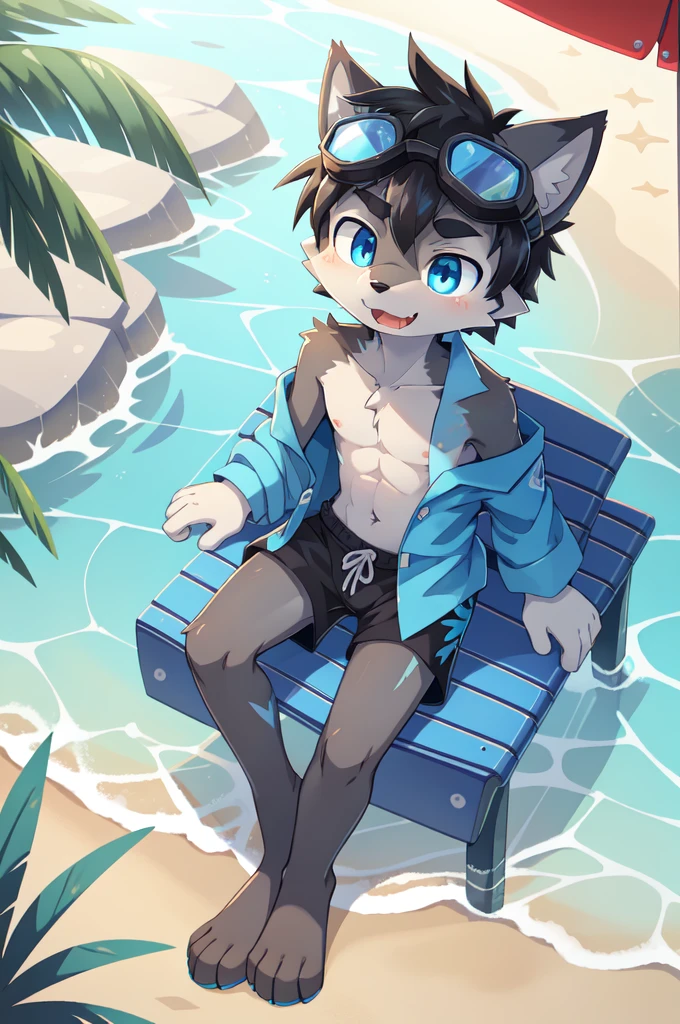 Furry shota, wolf, black hair, long spiky ponytail, blue eyes, detailed body fur, ((goggles, blue hawaiian shirt, open clothes, one shoulder off, black swim trunks)), looking at another, fangs, clear grey body fur, detailed face, big eyebrows, detailed eyes, detailed body, detailed body fur, detailed hands, glistering body, shiny body, skinny, full body, feets with three toes, 3 toes, solo, beach, score_9,score_8_up,score_7_up, source_cartoon, source_furry, sit on beach chair, :3, glowing blue eyes, from above, motion blur, Birds Eye view,