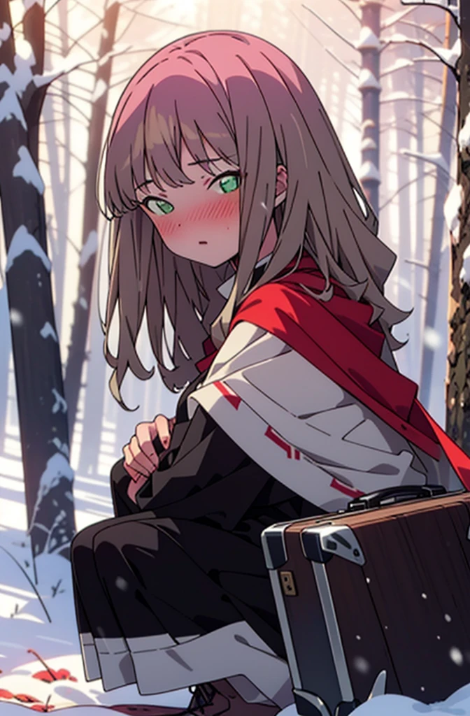 minami yume ,sss Dynazenon ,Long Hair, Brown Hair, (Green Eyes:1.5) ,blush,White Breath,
Open your mouth,snow,Ground bonfire, Outdoor, boots, snowing, From the side, wood, suitcase, Cape, Blurred, forest, White handbag, nature, Squat, Mouth closed, Cape, winter, Written boundary depth, Black shoes, red Cape break looking at viewer, Upper Body, whole body, break Outdoor, forest, nature, break (masterpiece:1.2), Highest quality, High resolution, unity 8k wallpaper, (shape:0.8), (Beautiful and beautiful eyes:1.6), Highly detailed face, Perfect lighting, Highly detailed CG, (Perfect hands, Perfect Anatomy),