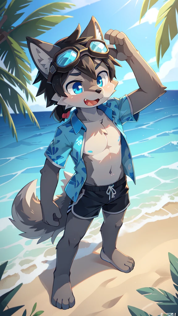 Furry shota, wolf, black hair, long spiky ponytail, blue eyes, detailed body fur, ((goggles, blue hawaiian shirt, open clothes, black swim trunks)), looking at another, fangs, clear grey body fur, detailed face, big eyebrows, detailed eyes, detailed body, detailed body fur, detailed hands, glistering body, shiny body, skinny, full body, feets with three toes, 3 toes, solo, beach, score_9,score_8_up,score_7_up, source_cartoon, source_furry, standing, :3, glowing blue eyes, from above, motion blur, Birds Eye view,