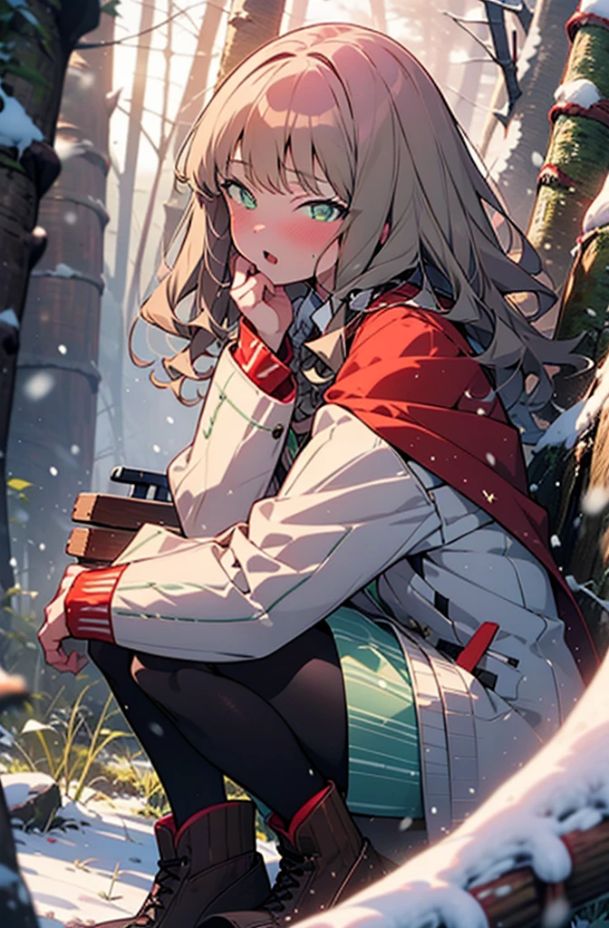 minami yume ,sss Dynazenon ,Long Hair, Brown Hair, (Green Eyes:1.5) ,blush,White Breath,
Open your mouth,snow,Ground bonfire, Outdoor, boots, snowing, From the side, wood, suitcase, Cape, Blurred, forest, White handbag, nature, Squat, Mouth closed, Cape, winter, Written boundary depth, Black shoes, red Cape break looking at viewer, Upper Body, whole body, break Outdoor, forest, nature, break (masterpiece:1.2), Highest quality, High resolution, unity 8k wallpaper, (shape:0.8), (Beautiful and beautiful eyes:1.6), Highly detailed face, Perfect lighting, Highly detailed CG, (Perfect hands, Perfect Anatomy),