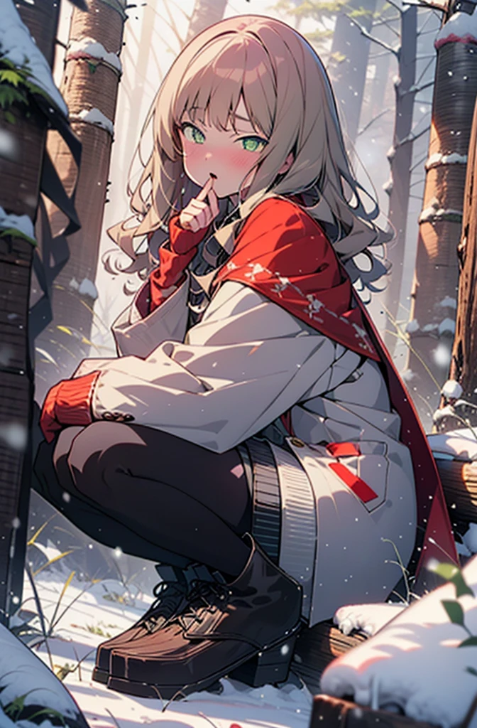 minami yume ,sss Dynazenon ,Long Hair, Brown Hair, (Green Eyes:1.5) ,blush,White Breath,
Open your mouth,snow,Ground bonfire, Outdoor, boots, snowing, From the side, wood, suitcase, Cape, Blurred, forest, White handbag, nature,  Squat, Mouth closed, Cape, winter, Written boundary depth, Black shoes, red Cape break looking at viewer, Upper Body, whole body, break Outdoor, forest, nature, break (masterpiece:1.2), Highest quality, High resolution, unity 8k wallpaper, (shape:0.8), (Beautiful and beautiful eyes:1.6), Highly detailed face, Perfect lighting, Highly detailed CG, (Perfect hands, Perfect ???????),