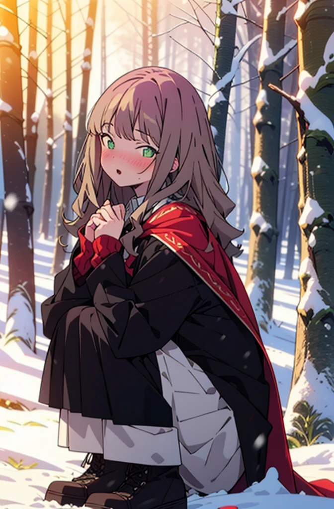 minami yume ,sss Dynazenon ,Long Hair, Brown Hair, (Green Eyes:1.5) ,blush,White Breath,
Open your mouth,snow,Ground bonfire, Outdoor, boots, snowing, From the side, wood, suitcase, Cape, Blurred, forest, White handbag, nature, Squat, Mouth closed, Cape, winter, Written boundary depth, Black shoes, red Cape break looking at viewer, Upper Body, whole body, break Outdoor, forest, nature, break (masterpiece:1.2), Highest quality, High resolution, unity 8k wallpaper, (shape:0.8), (Beautiful and beautiful eyes:1.6), Highly detailed face, Perfect lighting, Highly detailed CG, (Perfect hands, Perfect Anatomy),
