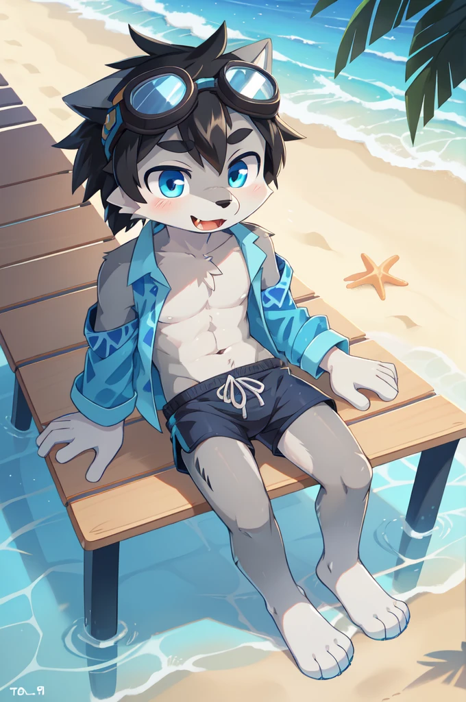 Furry shota, wolf, black hair, long spiky ponytail, blue eyes, detailed body fur, ((goggles, blue hawaiian shirt, open clothes, one shoulder off, black swim trunks)), lifted clothes, looking at another, fangs, clear grey body fur, detailed face, big eyebrows, detailed eyes, detailed body, detailed body fur, detailed hands, glistering body, shiny body, skinny, full body, feets with three toes, 3 toes, solo, beach, score_9,score_8_up,score_7_up, source_cartoon, source_furry, sit on beach chair, :3, glowing blue eyes, from above, motion blur, Birds Eye view,