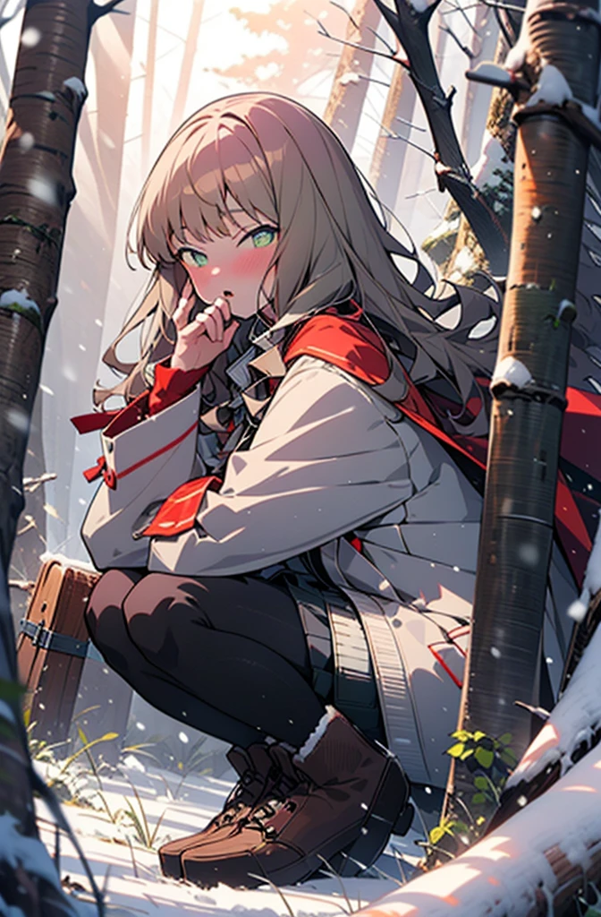 minami yume ,sss Dynazenon ,Long Hair, Brown Hair, (Green Eyes:1.5) ,blush,White Breath,
Open your mouth,snow,Ground bonfire, Outdoor, boots, snowing, From the side, wood, suitcase, Cape, Blurred, forest, White handbag, nature, Squat, Mouth closed, Cape, winter, Written boundary depth, Black shoes, red Cape break looking at viewer, Upper Body, whole body, break Outdoor, forest, nature, break (masterpiece:1.2), Highest quality, High resolution, unity 8k wallpaper, (shape:0.8), (Beautiful and beautiful eyes:1.6), Highly detailed face, Perfect lighting, Highly detailed CG, (Perfect hands, Perfect Anatomy),