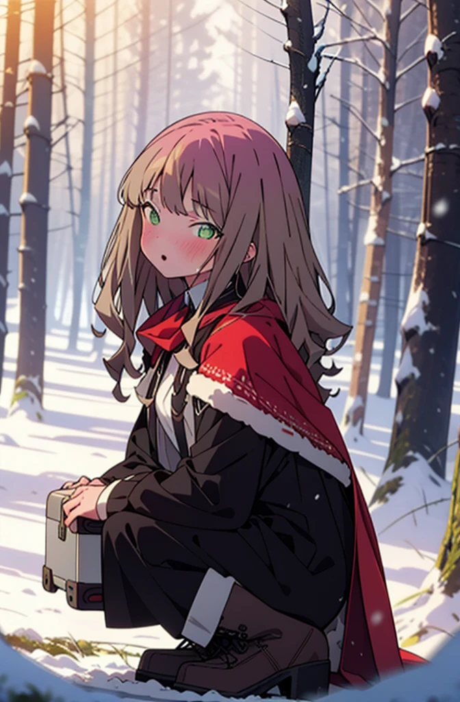 minami yume ,sss Dynazenon ,Long Hair, Brown Hair, (Green Eyes:1.5) ,blush,White Breath,
Open your mouth,snow,Ground bonfire, Outdoor, boots, snowing, From the side, wood, suitcase, Cape, Blurred, forest, White handbag, nature, Squat, Mouth closed, Cape, winter, Written boundary depth, Black shoes, red Cape break looking at viewer, Upper Body, whole body, break Outdoor, forest, nature, break (masterpiece:1.2), Highest quality, High resolution, unity 8k wallpaper, (shape:0.8), (Beautiful and beautiful eyes:1.6), Highly detailed face, Perfect lighting, Highly detailed CG, (Perfect hands, Perfect Anatomy),
