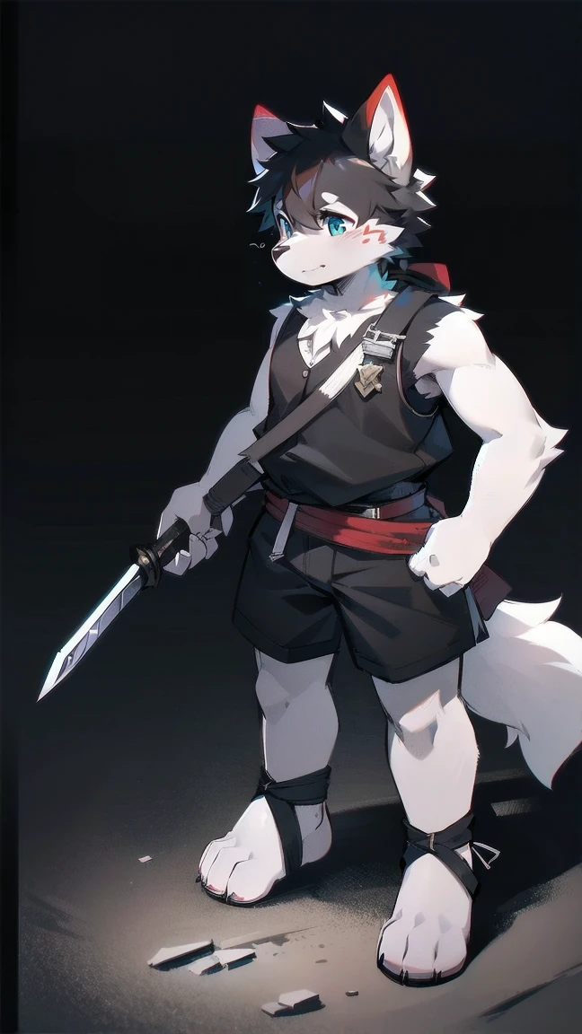 White Wolf，black hair，Sky blue eyes，hairy，Wolf ears，Wolf tail，Full body portrait，The character is in the center of the frame，Handsome，Confident eye***but，juvenile，Black and white combat uniform，Red neck bib，Black shorts，Short sleeve，hairy arms and legs，Dark background，Dark battlefield，dawn，sunrise，dawn，illumination，shadow，Swordsman，Scabbard and Hold the hilt of a in your hand，The scabbard is at the waist，Highest quality,A tall stature