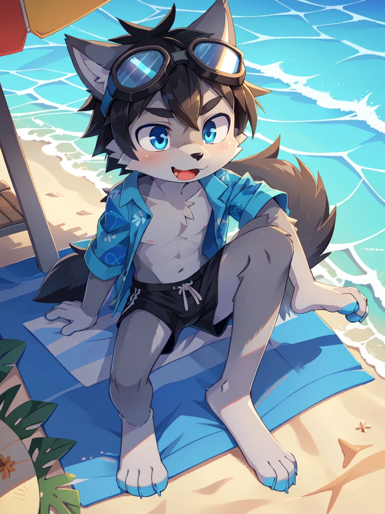 Furry shota, wolf, black hair, long spiky ponytail, blue eyes, detailed body fur, ((goggles, blue hawaiian shirt, open clothes, one shoulder off, black swim trunks)), lifted clothes, looking at another, fangs, clear grey body fur, detailed face, big eyebrows, detailed eyes, detailed body, detailed body fur, detailed hands, glistering body, shiny body, skinny, full body, feets with three toes, 3 toes, solo, beach, sit on beach towel, score_9,score_8_up,score_7_up, source_cartoon, source_furry, sit on beach chair, :3, glowing blue eyes, from above, motion blur, Birds Eye view,