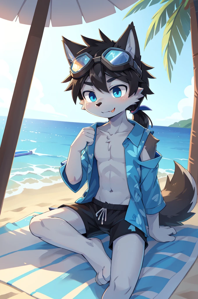 Furry shota, wolf, black hair, long spiky ponytail, blue eyes, detailed body fur, ((goggles, blue hawaiian shirt, open clothes, one shoulder off, black swim trunks)), lifted clothes, looking at another, fangs, clear grey body fur, detailed face, big eyebrows, detailed eyes, detailed body, detailed body fur, detailed hands, glistering body, shiny body, skinny, full body, feets with three toes, 3 toes, solo, beach, sit on beach towel, score_9,score_8_up,score_7_up, source_cartoon, source_furry, sit on beach chair, :3, glowing blue eyes, from above, motion blur, Birds Eye view,