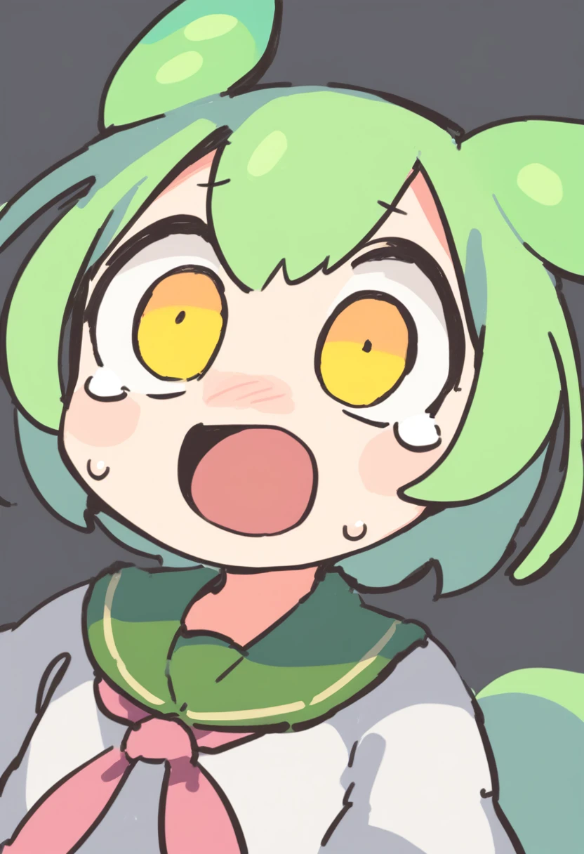 
One girl,Zundamon,Voice Box ,Green Hair,、Wide open mouth、Surprised face、Jaw detached、Weird face,Simple white background、No text
