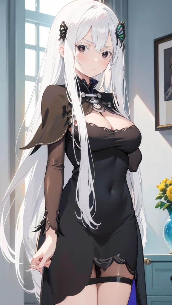 masterpiece, best quality, high resolution, best illustration, super fine illustration, (official art:0.7), (anime screencap:0.8), anime keyvisual, perfect anatomy, 8k portrait, (detail focus fingers:1.2), 
1girl, 
Echidna \(re:zero\),
long hair, 
white hair, 
(black eyes:1.2), 
medium breasts, 
black dress, black cape, long dress, 
looking at viewer, 
cowboy shot, 
natural light, background of indoor, 