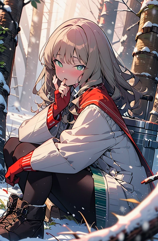 minami yume ,sss Dynazenon ,Long Hair, Brown Hair, (Green Eyes:1.5) ,blush,White Breath,
Open your mouth,snow,Ground bonfire, Outdoor, boots, snowing, From the side, wood, suitcase, Cape, Blurred, forest, White handbag, nature, Squat, Mouth closed, Cape, winter, Written boundary depth, Black shoes, red Cape break looking at viewer, Upper Body, whole body, break Outdoor, forest, nature, break (masterpiece:1.2), Highest quality, High resolution, unity 8k wallpaper, (shape:0.8), (Beautiful and beautiful eyes:1.6), Highly detailed face, Perfect lighting, Highly detailed CG, (Perfect hands, Perfect Anatomy),