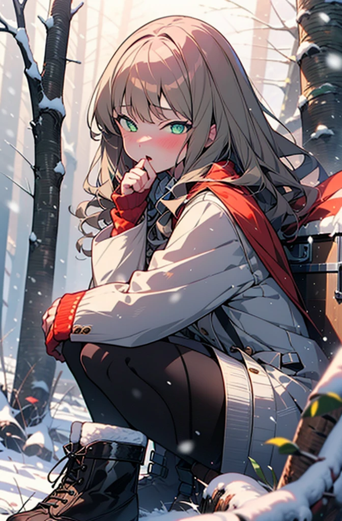 minami yume ,sss Dynazenon ,Long Hair, Brown Hair, (Green Eyes:1.5) ,blush,White Breath,
Open your mouth,snow,Ground bonfire, Outdoor, boots, snowing, From the side, wood, suitcase, Cape, Blurred, forest, White handbag, nature,  Squat, Mouth closed, Cape, winter, Written boundary depth, Black shoes, red Cape break looking at viewer, Upper Body, whole body, break Outdoor, forest, nature, break (masterpiece:1.2), Highest quality, High resolution, unity 8k wallpaper, (shape:0.8), (Beautiful and beautiful eyes:1.6), Highly detailed face, Perfect lighting, Highly detailed CG, (Perfect hands, Perfect Anatomy),