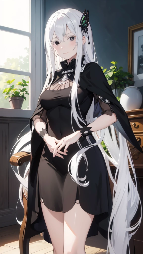 masterpiece, best quality, high resolution, best illustration, super fine illustration, (official art:0.7), (anime screencap:0.8), anime keyvisual, perfect anatomy, 8k portrait, (detail focus fingers:1.2), 
1girl, 
Echidna \(re:zero\),
long hair, 
white hair, 
(black eyes:1.2), 
medium breasts, 
black dress, black cape, long dress, 
looking at viewer, 
cowboy shot, 
natural light, background of indoor, smile, sitting,