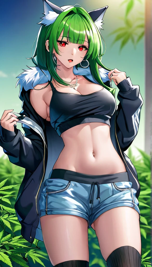 , Croped, , cleavage, slim waist, cropped hoodie underboob, cropped hoodieunderboobhoodie, 1girl, 2 wolf ears, wolf tail, marijuana crop hoodie, crop shorts, marijuana hoodie, spiky hair, spiky fur, green hair, red eyes,marijuana field, tight clothes, perfect eyes, perfect hands, clear resolution, full body, cleavage skin, marijuana plants, open hoodie, marijuana scenery, black thigh high socks, full body, earrings, 1girl, skirt, cleavage, slim waist, cleavage, slim waist, hair pulled back,