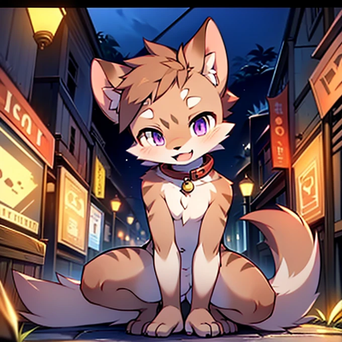 Civet cat, , ,cute, (alone), (((Has brown and white fur))), Big purple eyes, Blushing, smile, Open your mouth, walking, night, Ancient Asian cities, bright street lights, Blue and black slate road, Empty Streets, Starry Sky, Shadow, Detailed facial depiction, ((Accurate hand drawing)), レンブラントの光とShadow, Ultra-fine,Completely naked,Naked,Naked,Full nudity,Nude,Spread your legs and point your crotch,Embarrassing,Embarrassing表情,On all fours,Put your hands and feet on the ground,Seated Pose,Four-legged,Accurate hand and foot count,shame,Fantasy,Anime-style depiction,Collar Lead,,Two boys and a girl,Male and female,