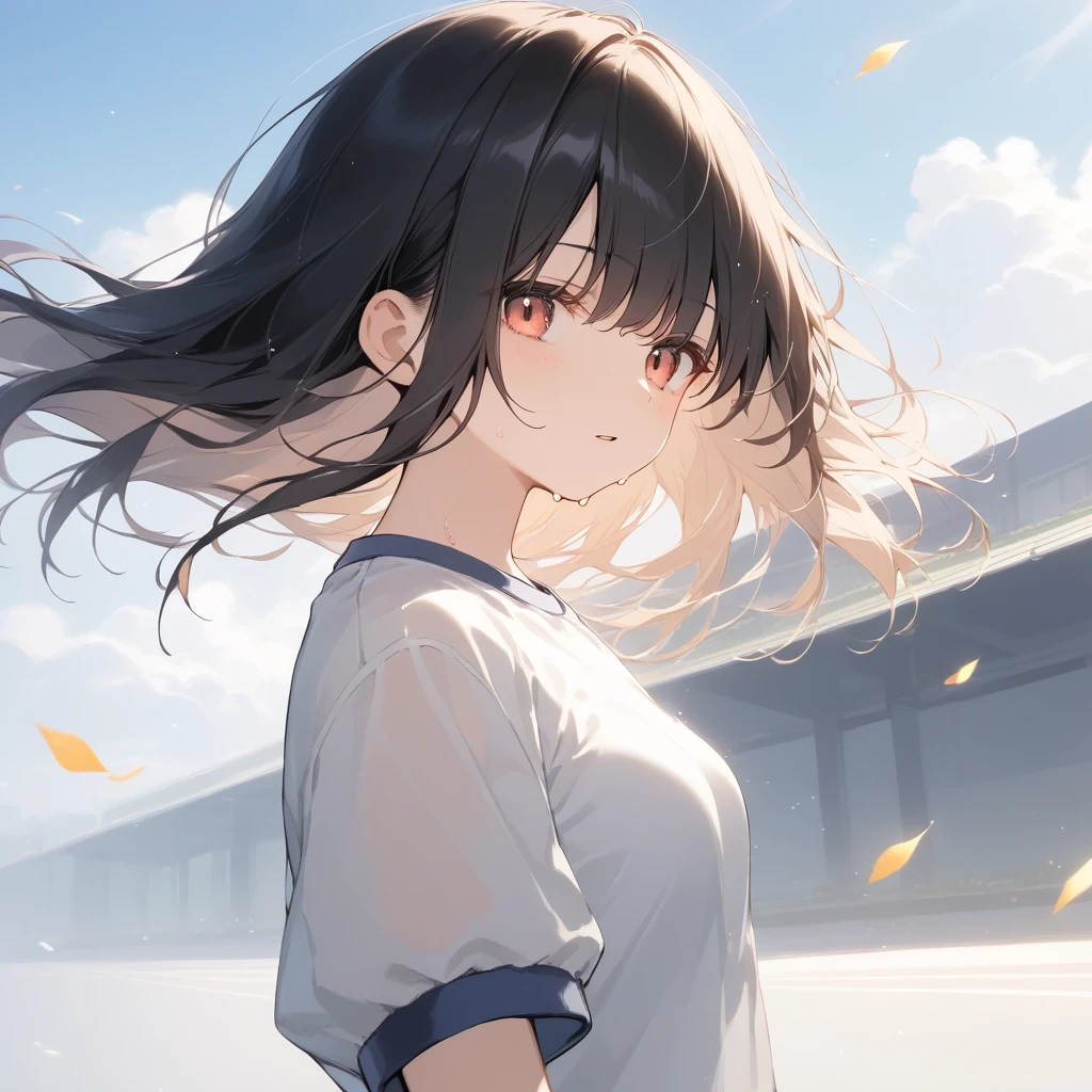 score_9, score_8_up, score_7_up, source_anime, best quality, masterpiece, official art, absurdres, highres, ultra-detailed,waifu2x,Collection: Slice of Life,break,1girl, 15-year-old, short hair, black hair, small breasts, beautiful detailed eyes, well-proportioned iris and pupils, parted lips, beautiful detailed lips, gym uniform, byke shorts, sweat, expressionless, sleepily, School ground, outdoors, wind, break,(clear line illustration:1.2),very high resolution, very aesthetic, super detailed skin, Best cinematic lighting powered by famous artist, 8k, beauty illustration,photoshop_(medium),,(Detailed Lighting),best anime 8k konachan wallpaper, pixiv contest winner,