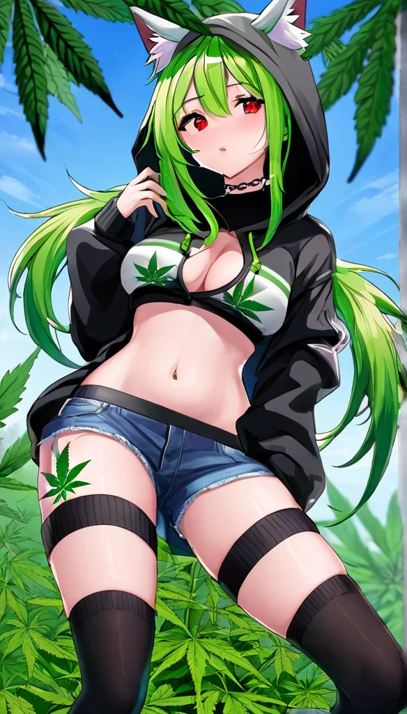   , Croped, , cleavage, slim waist, cropped hoodie underboob, cropped hoodieunderboobhoodie, 1girl, 2 wolf ears, wolf tail, marijuana crop hoodie, crop shorts, marijuana hoodie, spiky hair, spiky fur, green hair, red eyes,marijuana field, tight clothes, perfect eyes, perfect hands, clear resolution, full body, cleavage skin, marijuana plants, open hoodie, marijuana scenery, black thigh high socks, full body, earrings, 1girl, skirt,  cleavage, slim waist, cleavage, slim waist, hair pulled back, 