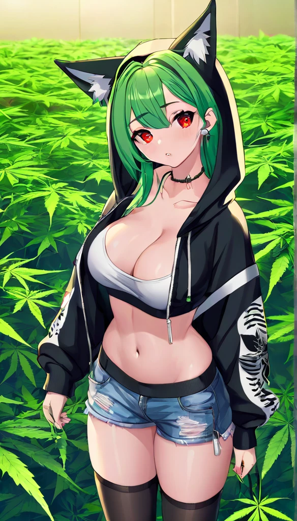 , Croped, , cleavage, slim waist, cropped hoodie underboob, cropped hoodieunderboobhoodie, 1girl, 2 wolf ears, wolf tail, marijuana crop hoodie, crop shorts, marijuana hoodie, spiky hair, spiky fur, green hair, red eyes,marijuana field, tight clothes, perfect eyes, perfect hands, clear resolution, full body, cleavage skin, marijuana plants, open hoodie, marijuana scenery, black thigh high socks, full body, earrings, 1girl, skirt, cleavage, slim waist, cleavage, slim waist, hair pulled back,