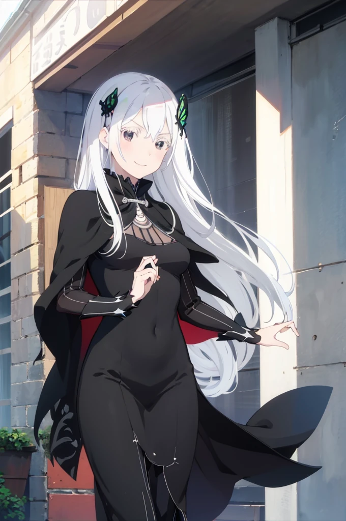 masterpiece, best quality, high resolution, best illustration, super fine illustration, (official art:0.7), (anime screencap:0.8), detailed beautiful face and eyes, anime keyvisual, (perfect anatomy:1.1), 8k portrait, (detail focus fingers:1.2),
1girl,
Echidna,
Echidna \(re:zero\),
long hair,
white hair,
(black eyes:1.2),
butterfly hair ornament,
small breasts,
fit dress, long black dress, black cape,
looking at viewer,
cowboy shot,
natural light, standing, smile,