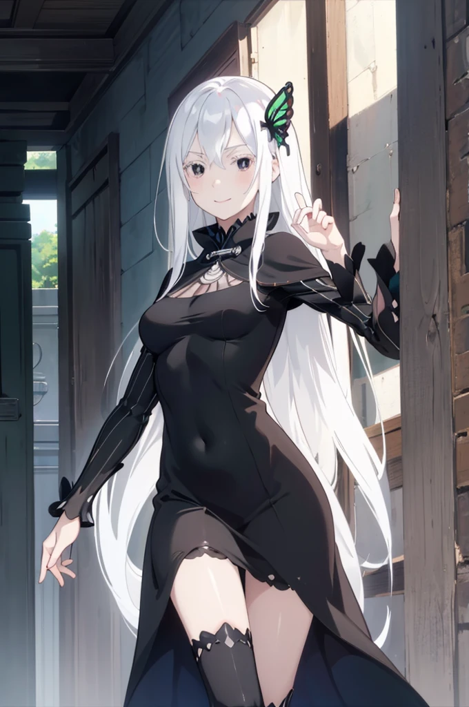 masterpiece, best quality, high resolution, best illustration, super fine illustration, (official art:0.7), (anime screencap:0.8), detailed beautiful face and eyes, anime keyvisual, (perfect anatomy:1.1), 8k portrait, (detail focus fingers:1.2),
1girl,
Echidna,
Echidna \(re:zero\),
long hair,
white hair,
(black eyes:1.2),
butterfly hair ornament,
small breasts,
fit dress, long black dress, black cape,
looking at viewer,
cowboy shot,
natural light, standing, smile,