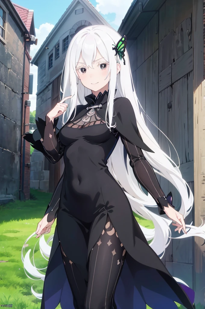 masterpiece, best quality, high resolution, best illustration, super fine illustration, official art, anime screencap, detailed beautiful face and eyes, anime keyvisual, (perfect anatomy:1.1), 8k portrait, (detail focus fingers:1.2), 
1girl,
Echidna, 
Echidna \(re:zero\),
long hair, 
white hair, 
(black eyes:1.2), 
butterfly hair ornament, 
small breasts, 
fit dress, long black dress, black cape, 
looking at viewer, 
cowboy shot, 
natural light, standing, smile, 