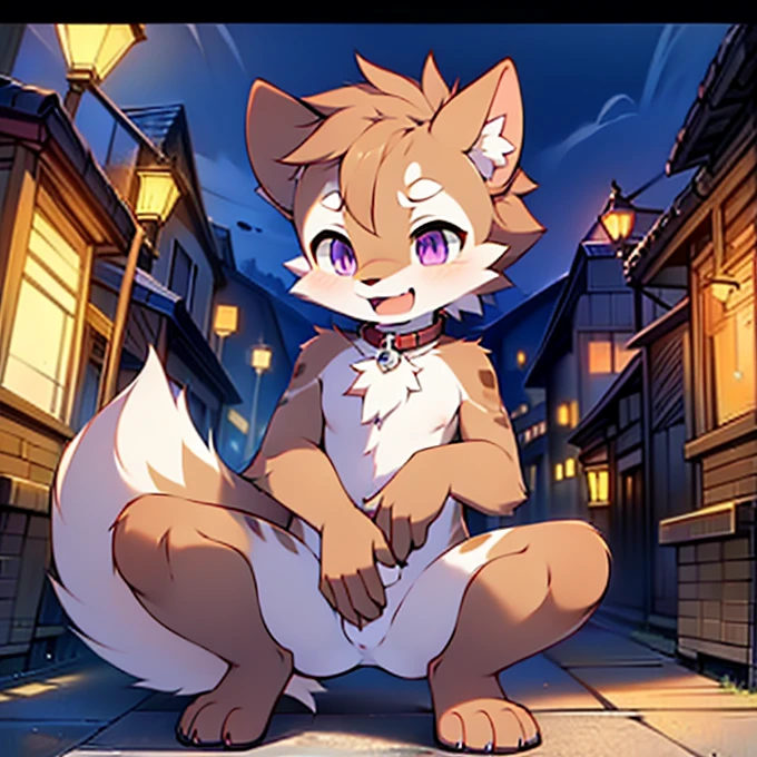 Civet cat, **********, ，cute, (alone), (((Has brown and white fur))), Big purple eyes, Blushing, smile, Open your mouth, walking, night, Ancient Asian cities, bright street lights, Blue and black slate road, Empty Streets, Starry Sky, Shadow, Detailed facial depiction, ((Accurate hand drawing)), レンブラントの光とShadow, Ultra-fine，Completely naked，Naked，Naked，Full nudity，Nude，Spread your legs and point your crotch，Embarrassing，Embarrassing表情，On all fours，Put your hands and feet on the ground，Seated Pose，Four-legged，Accurate hand and foot count，shame，Fantasy，Anime-style depiction，Collar Lead，，Two boys and a girl，Male and female，