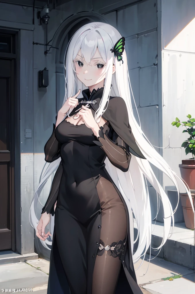 masterpiece, best quality, high resolution, best illustration, super fine illustration, (official art:1.2), anime screencap, (detailed beautiful face and eyes), anime keyvisual, (perfect anatomy:1.5), 8k portrait, (detail focus fingers:1.5),
1girl,
Echidna,
Echidna \(re:zero\),
long hair,
white hair,
(black eyes:1.2),
butterfly hair ornament,
small breasts,
fit dress, long black dress, black cape,
looking at viewer,
cowboy shot,
natural light, standing, smile,