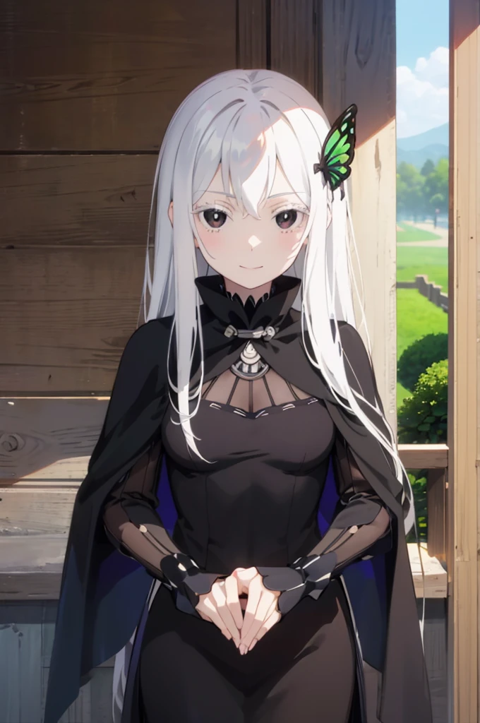 masterpiece, best quality, high resolution, best illustration, super fine illustration, (official art:1.2), anime screencap, (detailed beautiful face and eyes), anime keyvisual, (perfect anatomy:1.5), 8k portrait, (detail focus fingers:1.5), 
1girl,
Echidna, 
Echidna \(re:zero\),
long hair, 
white hair, 
(black eyes:1.2), 
butterfly hair ornament, 
small breasts, 
long black dress, black cape, 
looking at viewer, 
cowboy shot, 
natural light, standing, smile, 