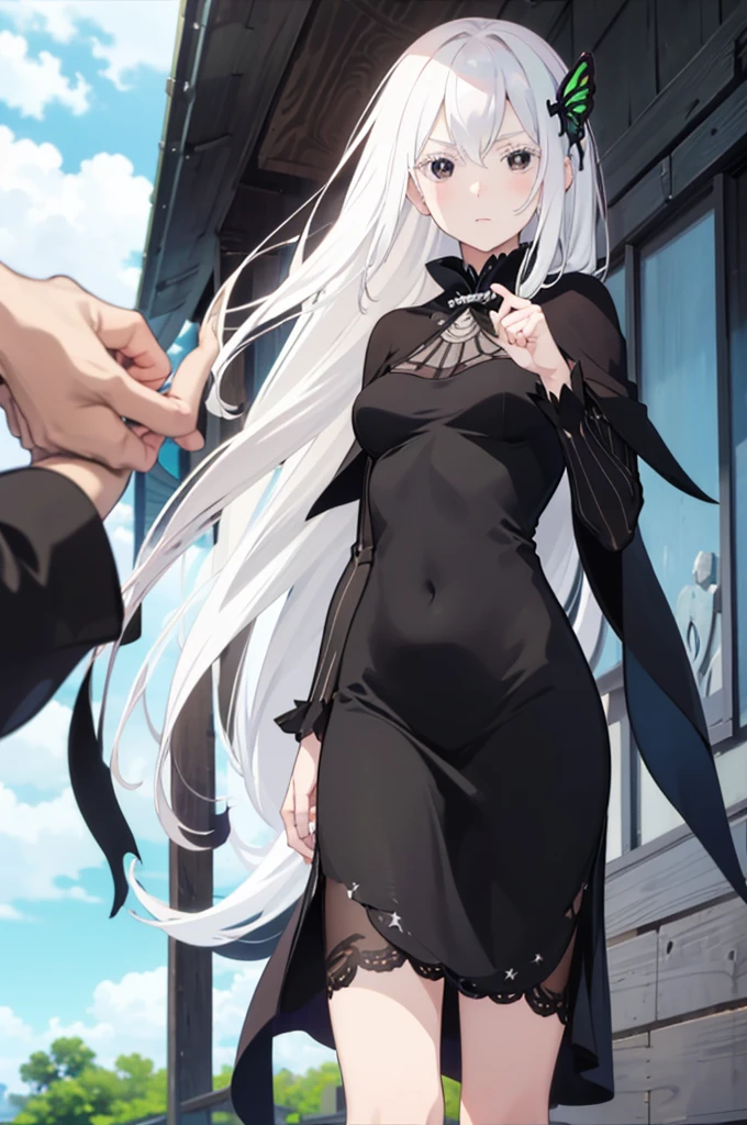 masterpiece, best quality, high resolution, best illustration, super fine illustration, (official art:1.2), anime screencap, (detailed beautiful face and eyes), anime keyvisual, (perfect anatomy:1.5), 8k portrait, (detail focus fingers:1.5),
1girl,
Echidna,
Echidna \(re:zero\),
long hair,
white hair,
(black eyes:1.2),
butterfly hair ornament,
small breasts,
long black dress, black cape,
looking at viewer,
cowboy shot,
natural light,