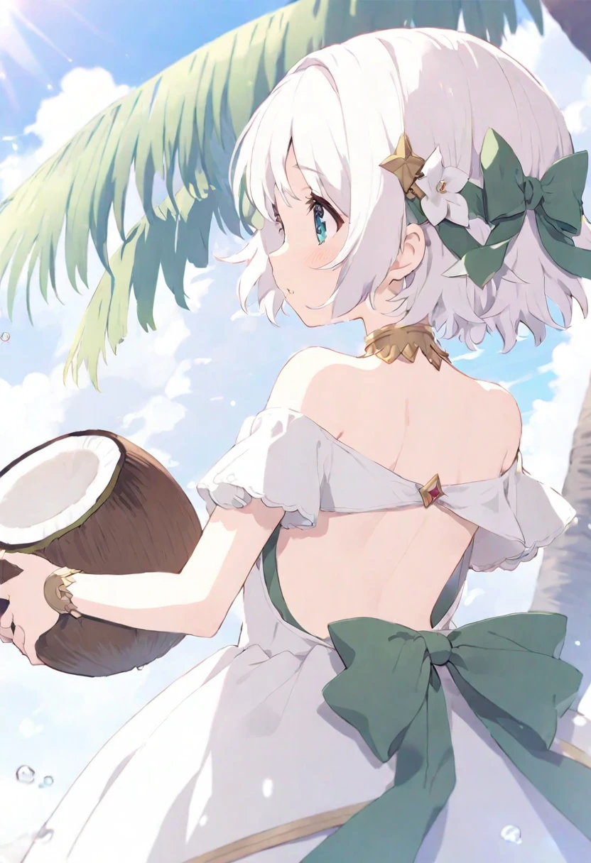Princess Link, Coconut, white short hair, Small Breasts, Off-shoulder clothes, Backless clothing, Back, Turn your back to the audience,