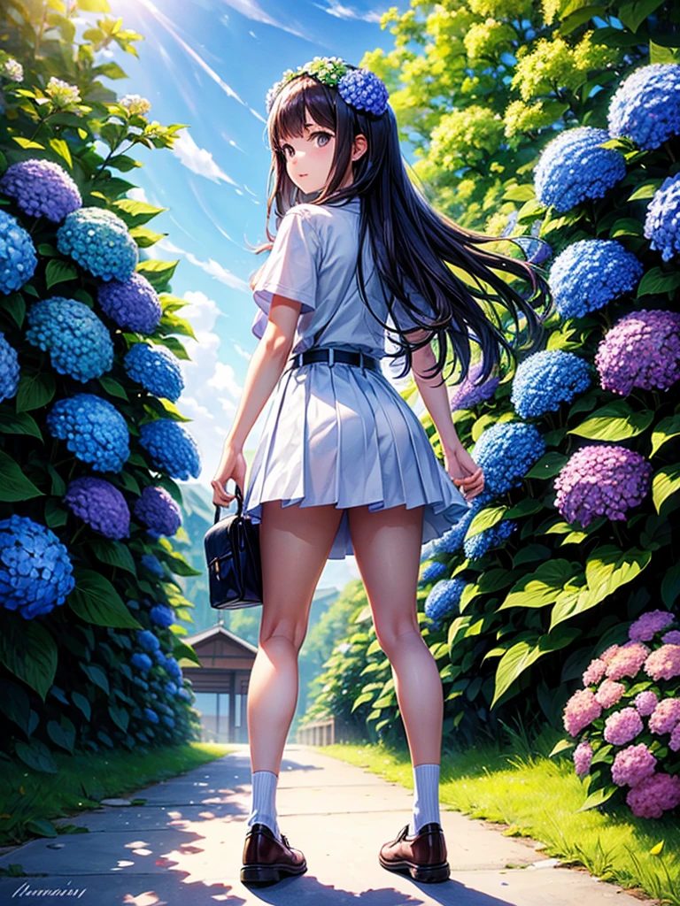 Highest quality,Highest Resolution,A high school girl walking down a road with hydrangeas blooming on both sides,