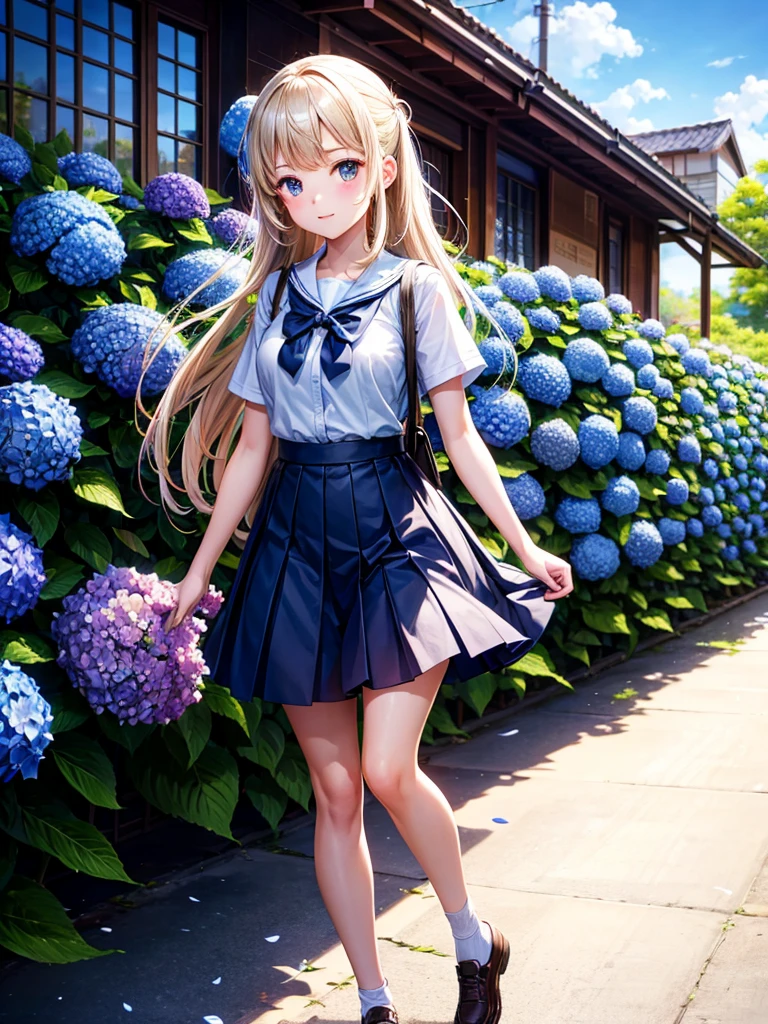Highest quality,Highest Resolution,A high school girl walking down a road with hydrangeas blooming on both sides,