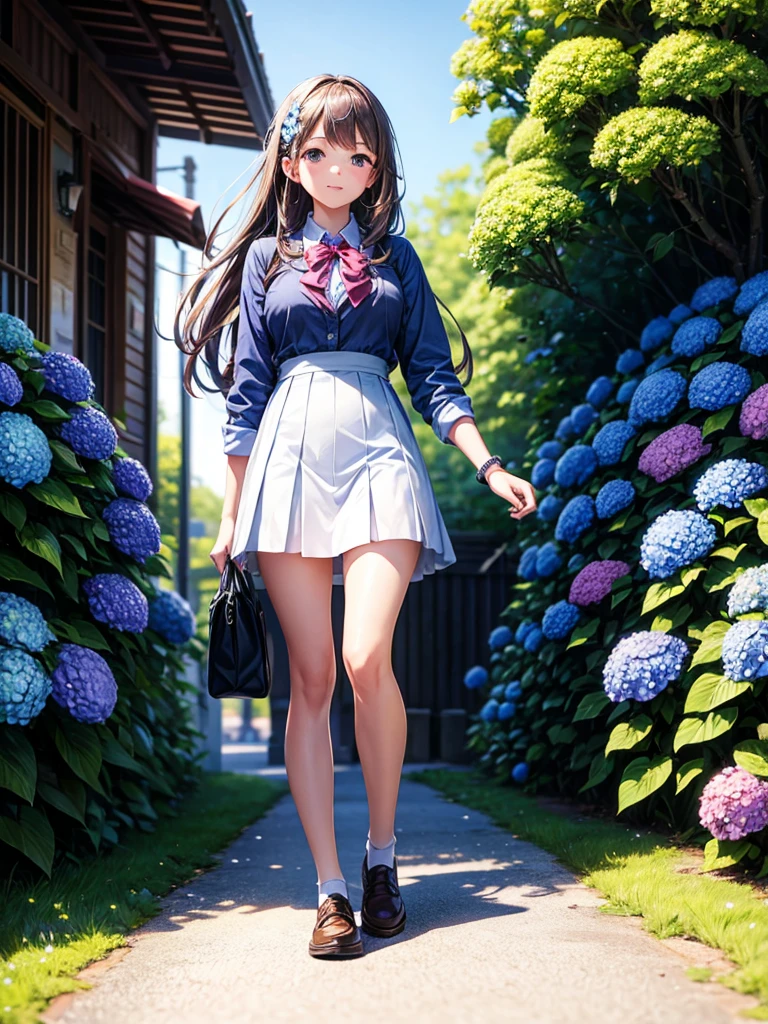 Highest quality,Highest Resolution,A high school girl walking down a road with hydrangeas blooming on both sides,