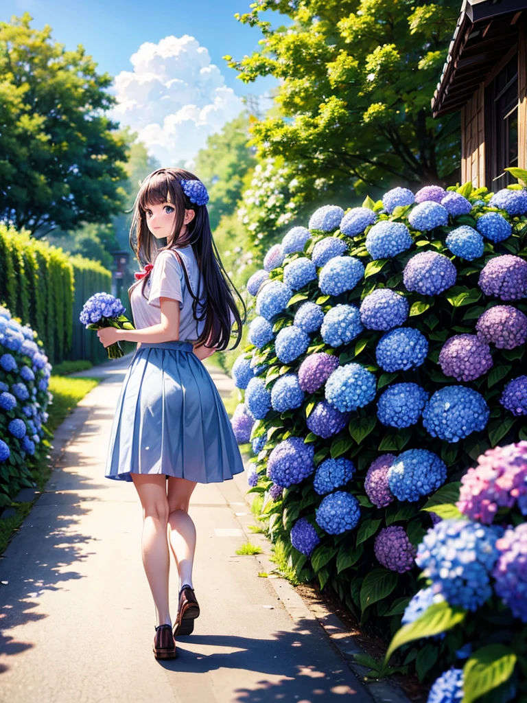 Highest quality,Highest Resolution,A high school girl walking down a road with hydrangeas blooming on both sides,