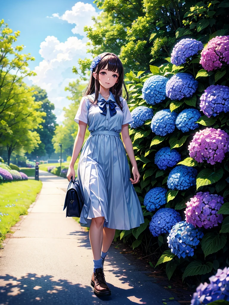Highest quality,Highest Resolution,A high school girl walking down a road with hydrangeas blooming on both sides,