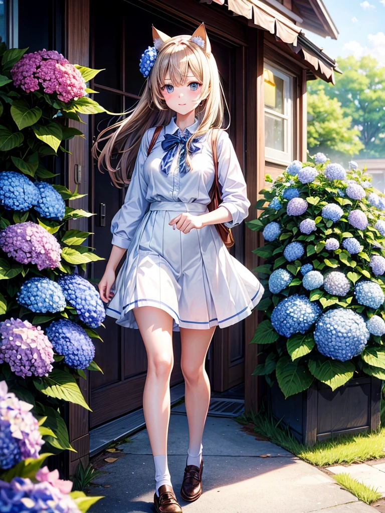 Highest quality,Highest Resolution,A high school girl with cat ears walking down a road with hydrangeas blooming on both sides,