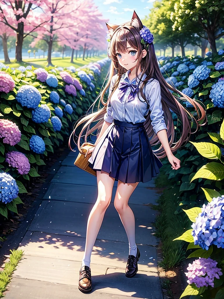 Highest quality,Highest Resolution,A high school girl with cat ears walking down a road with hydrangeas blooming on both sides,