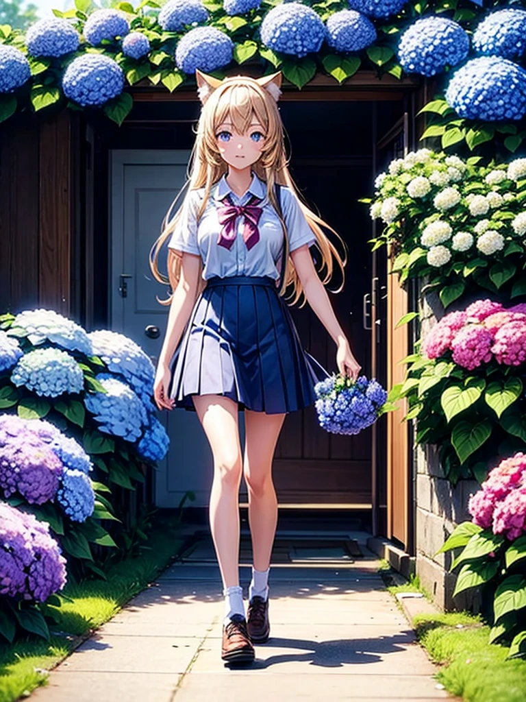 Highest quality,Highest Resolution,A high school girl with cat ears walking down a road with hydrangeas blooming on both sides,