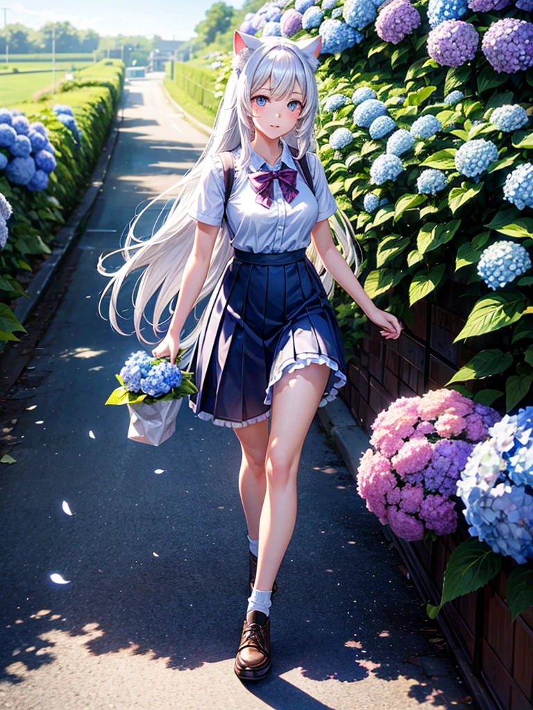 Highest quality,Highest Resolution,A high school girl with cat ears walking down a road with hydrangeas blooming on both sides,