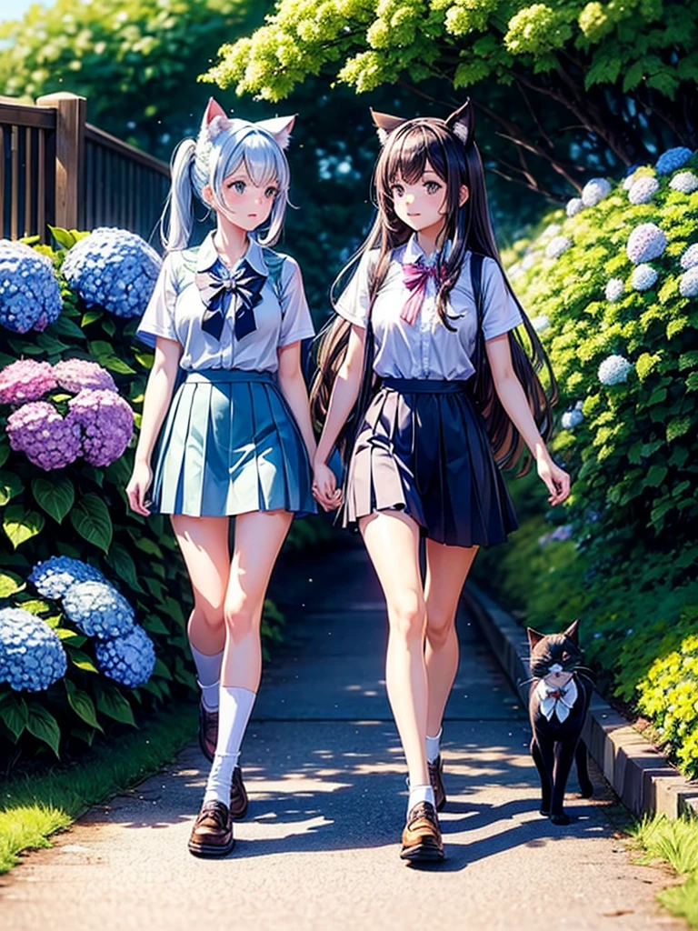 Highest quality,Highest Resolution,A high school girl with cat ears walking down a road with hydrangeas blooming on both sides,