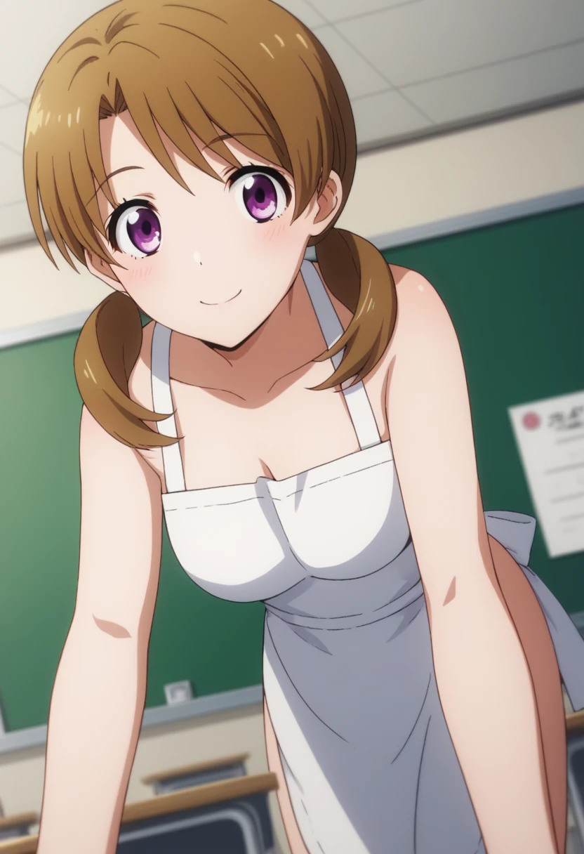 score_9, score_8_up, score_7_up, source_anime,
honoka mitsui, 1 girl,
bangs, brown hair, twintails, low twintails, purple eyes,
solo, bent over, smile,
dutch angle, looking at viewer, cowboy shot,
indoors, classroom, apron on naked body,