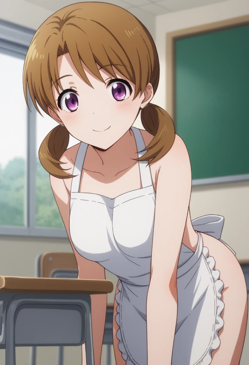 score_9, score_8_up, score_7_up, source_anime,
honoka mitsui, 1 girl,
bangs, brown hair, twintails, low twintails, purple eyes,
solo, bent over, smile,
dutch angle, looking at viewer, cowboy shot,
indoors, classroom, apron on naked body,