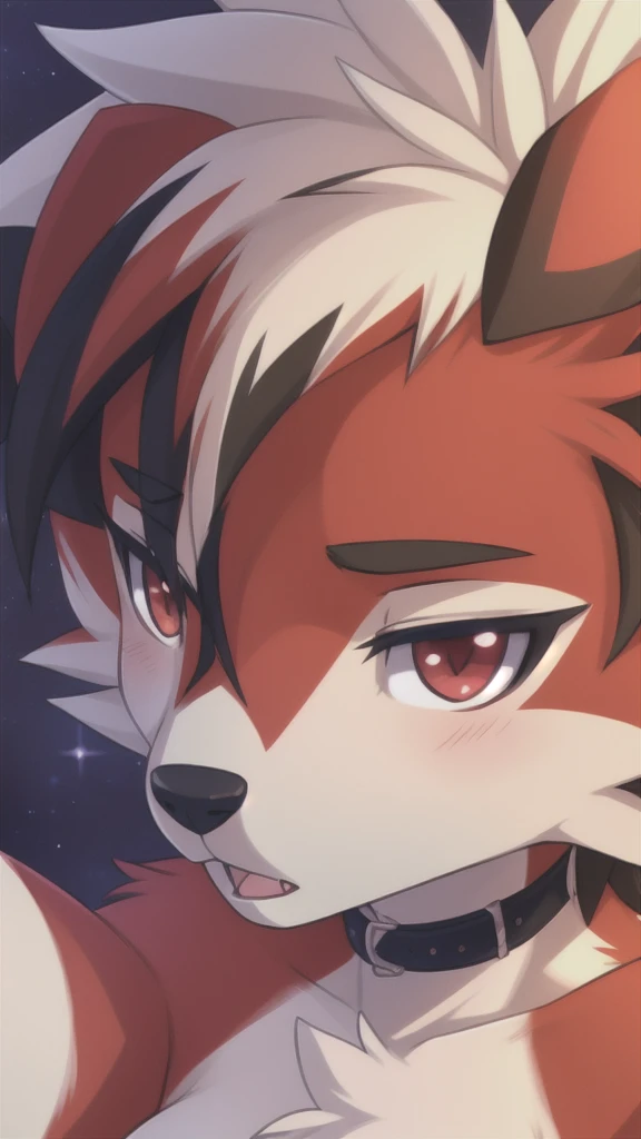 By zinfyuu on pixiv,by twistedscarlet60, uploaded on pixiv, by fluff-kevlar, (masterpiece), (best quality), (anthro furry:1.3, snout:1.2, anthro:1.3, furry:1.2, solo female:1.2),BREAK,pokemon, lycanroc, lycanroc midnight,nude, sfw ,:o, kiss me, close up selfie of lycanroc