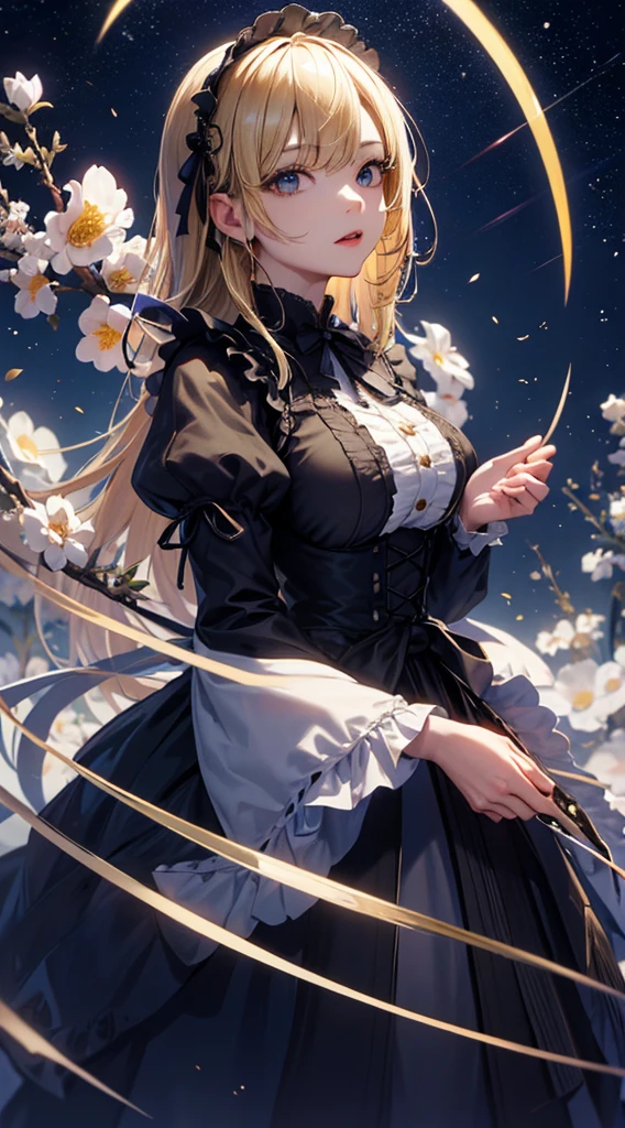 masterpiece, high quality, 4K, Beautiful design, silhouette，blonde， 非常に詳細な夜のStarry Sky,Flower Field， wonderful, Finer details,  Very knowledgeable woman, Highly detailed solo, 1 female,Big Breasts，Gothic Lolita Fashion，Night view，Starry Sky，