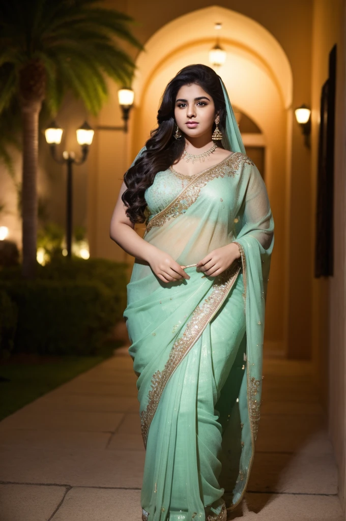 1 Heavenly beautiful and goddess beauty cute and sweet looking face Arabian woman in front of house at night, Heavenly beautiful Overweight, Heavenly beautiful Extremely fat, Heavenly beautiful and attractive Chubby figure , Heavenly beautiful looking and eye catching luxury style saree , reaching out, Heavenly beautiful Arabian woman, 16k, High resolution, masterpiece, highest quality, fine skin, close up figure view, Realistic Photograph