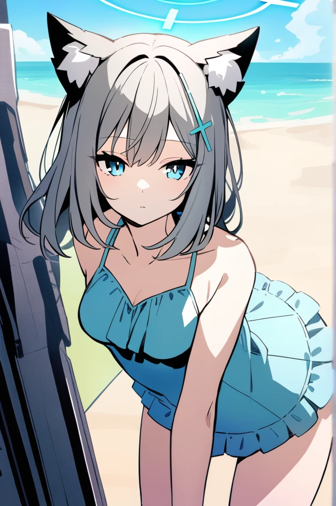 shiroko \(blue archive\),expressionless,looking at viewers,wolf ears,at beach,swimsuit