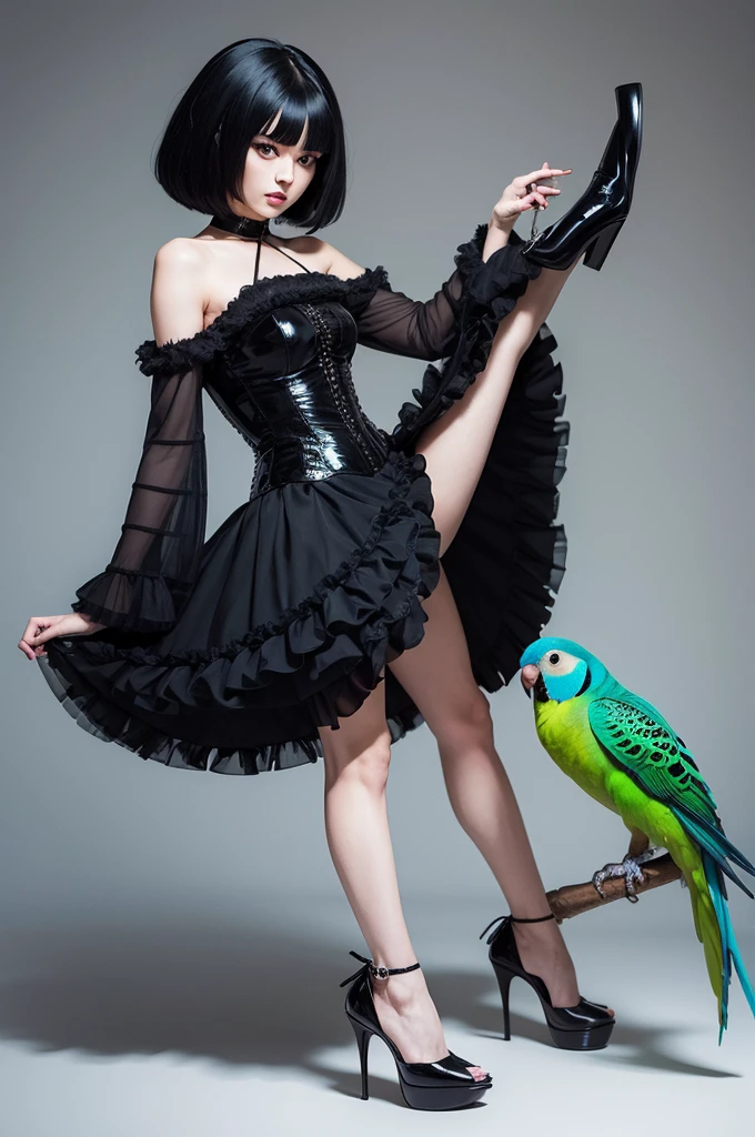 Parakeet animal with black wig and high heels