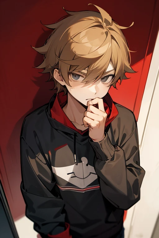 Tord Larsson from Eddsworld anime version, His hair is brown blonde with gray eyes., dark red sports sweatshirt and black sports pants, tomboy.